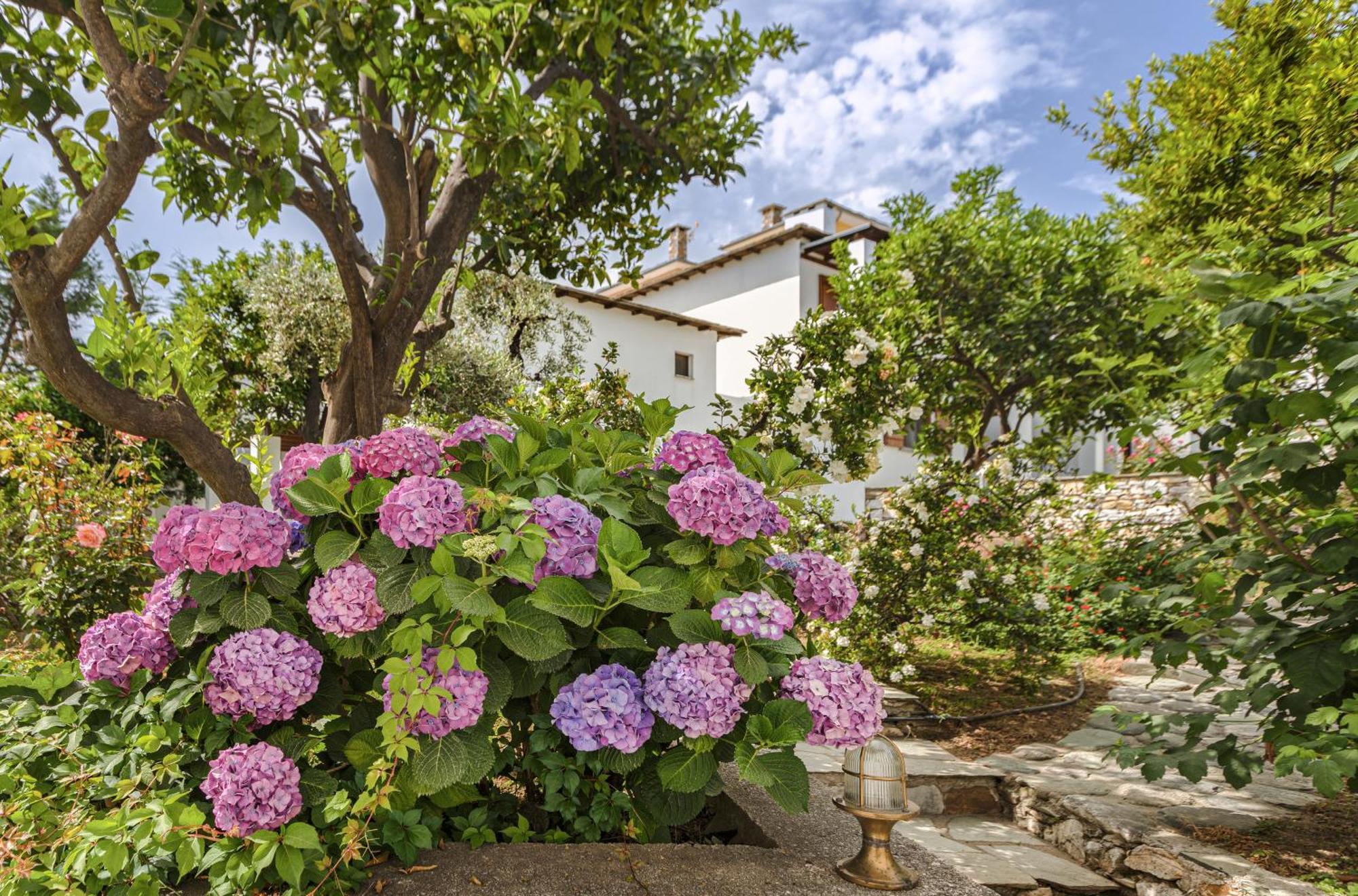 Aparthotel Aeolos & - Pelion Chorefton